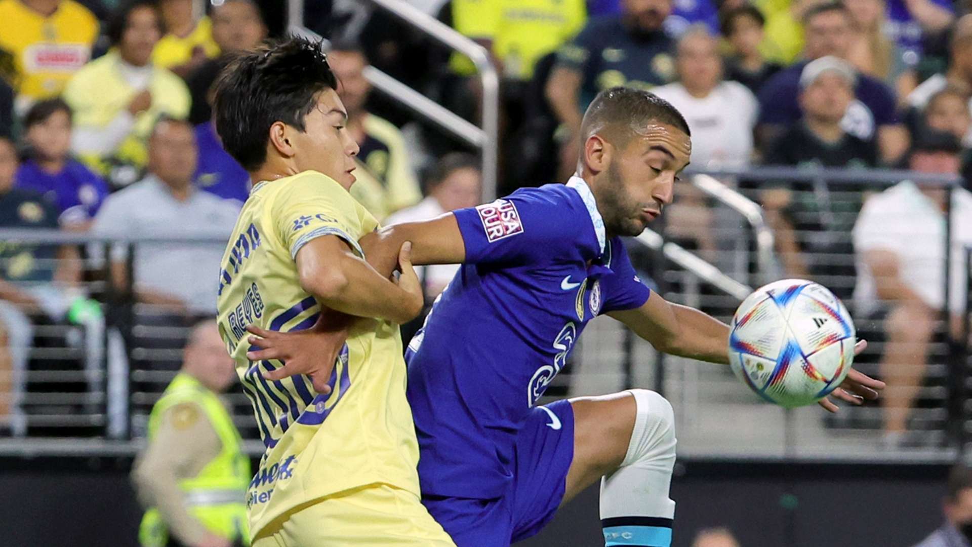 忠实支持者 忠实支持者